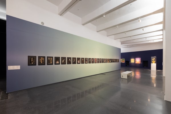 Anaïs Tondeur, Installation view of Chernobyl Herbarium, Dortmunder U, Germany