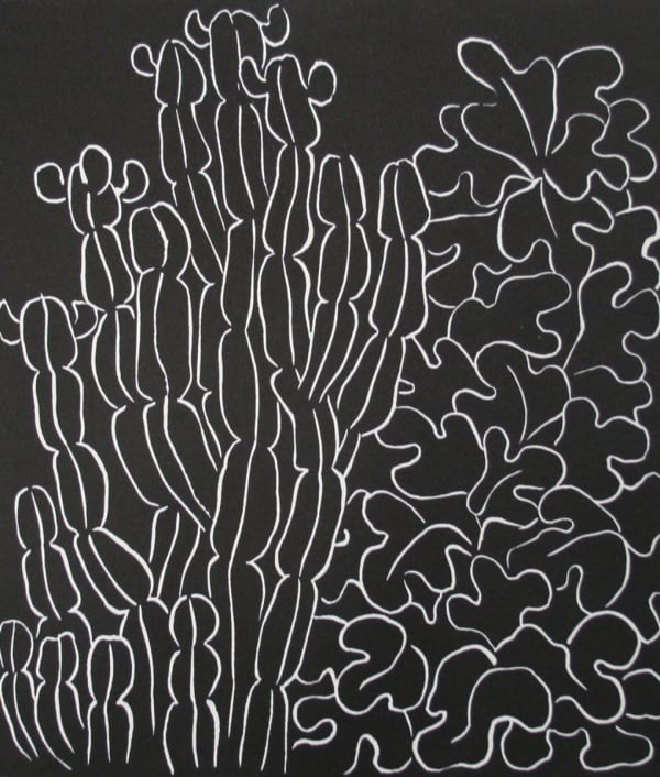 Peter Randall-Page, Cactus and Fig, 2014