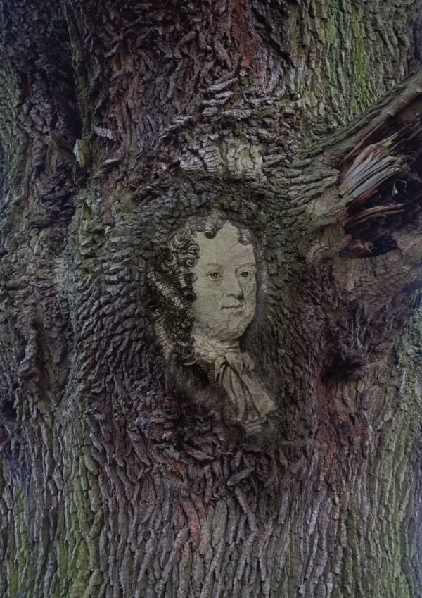 Tessa Traeger, Family Trees, No.11 Ralph 1st Duke of Montagu , 2022