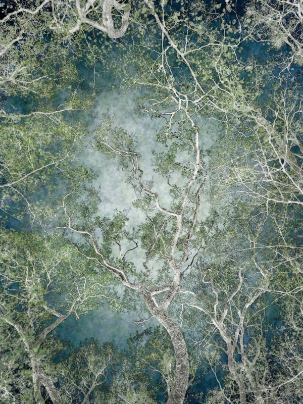 Santeri Tuori, Forest 59, 2023