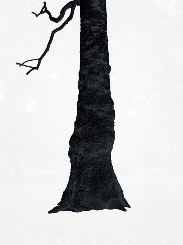 Santeri Tuori, Black Tree 2, 2025