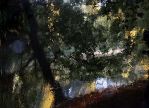 Jorma Puranen, Fish Pond Shimmer, 2016