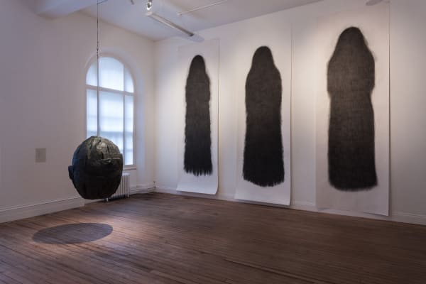 Alice Maher, Ombre & The Wilful Planet