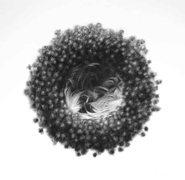 Jonathan Delafield Cook, Teal Nest , 2020