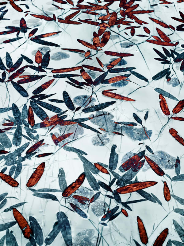 Santeri Tuori, Water Lilies 22, 2023