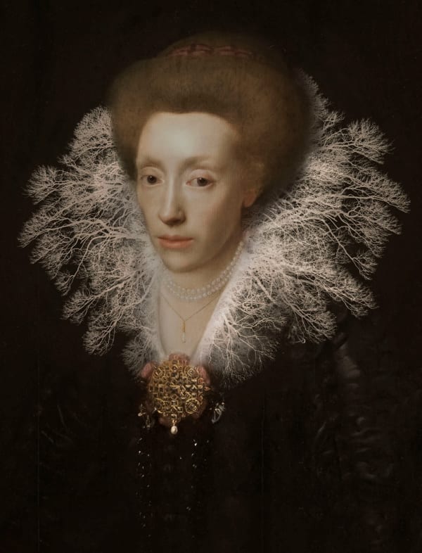 Tessa Traeger, Family Trees No.3 : Elizabeth Devereux's (possibly) Lace collar , 2022