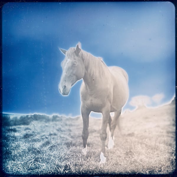 Takashi Arai, Horses No.2 Arakawa, Tono, 25 September 2023