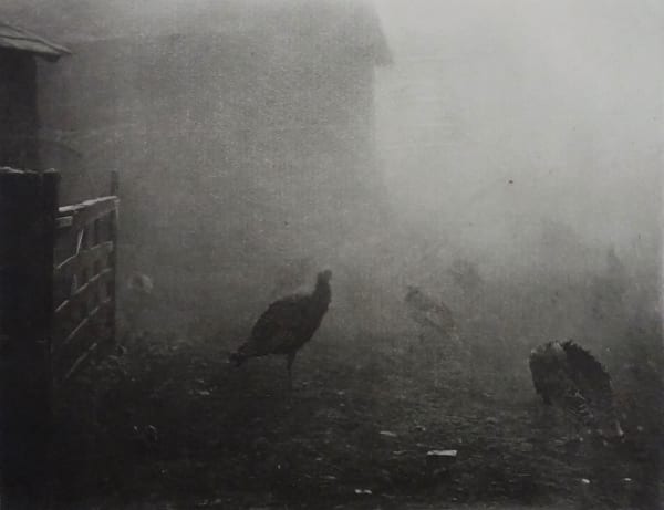 P. H. Emerson, From Marsh Leaves, A Corner Of the Farm Yard , 1895