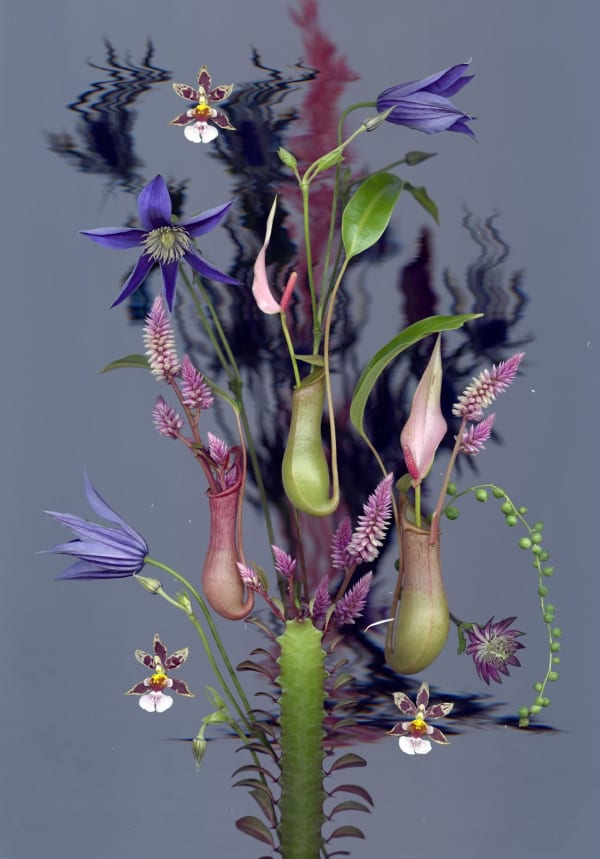 Sandra Kantanen, Distortion 2, 2023