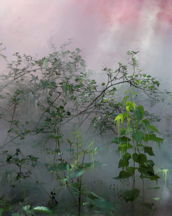 Sandra Kantanen, Forest 21, 2021