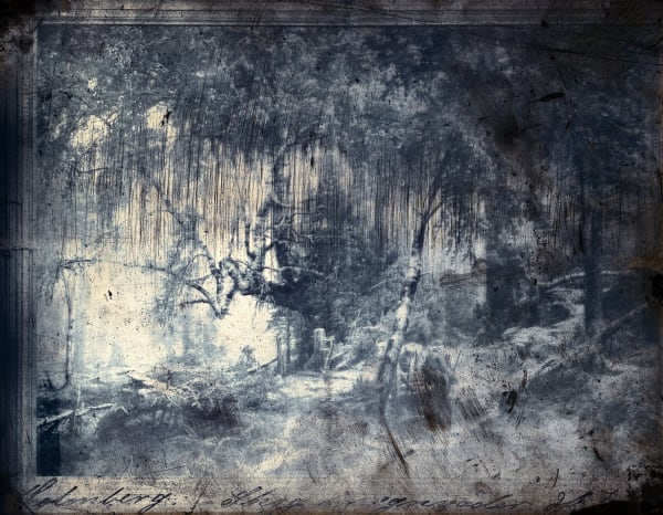 Jorma Puranen, From the series Memorandum of Loss, Forest in Rain , 2013