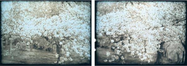 Takashi Arai, Explosion No. 4, 2019