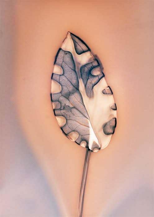 Anaïs Tondeur, Arum Italicum, Lago Patria, Terra dei Fuochi, Italy, 2024 - 2025