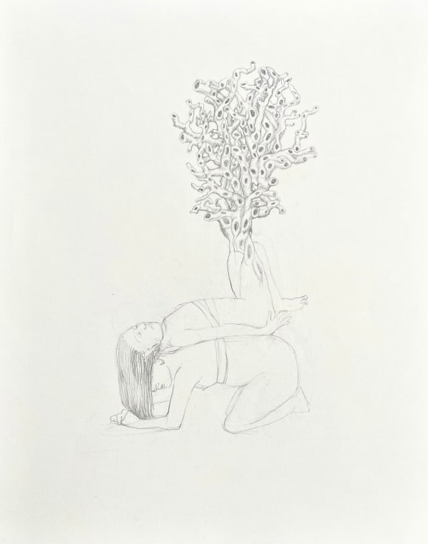Alice Maher, Untitled 4, 2025