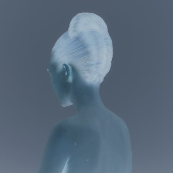Celine Bodin, From the series The Hunt, Maid (Inverted), 2018