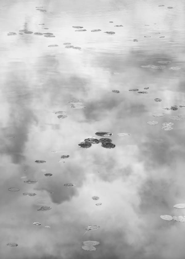 Santeri Tuori, Water Lilies 25, 2023