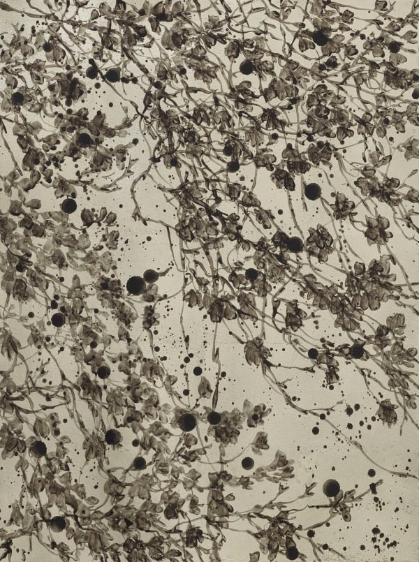 Sue Arrowsmith, Smoke, 2025