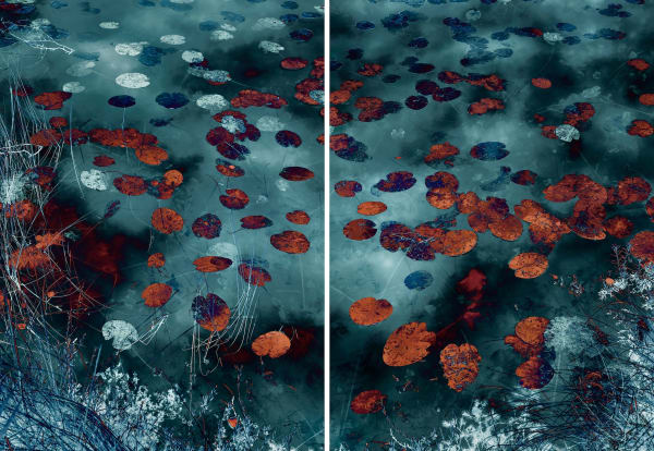 Santeri Tuori, Water Lilies 18, 2019