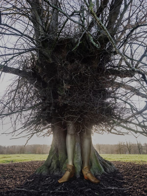 Tessa Traeger, Family Trees, No.16 James, Duke of Monmouth's legs, 2022