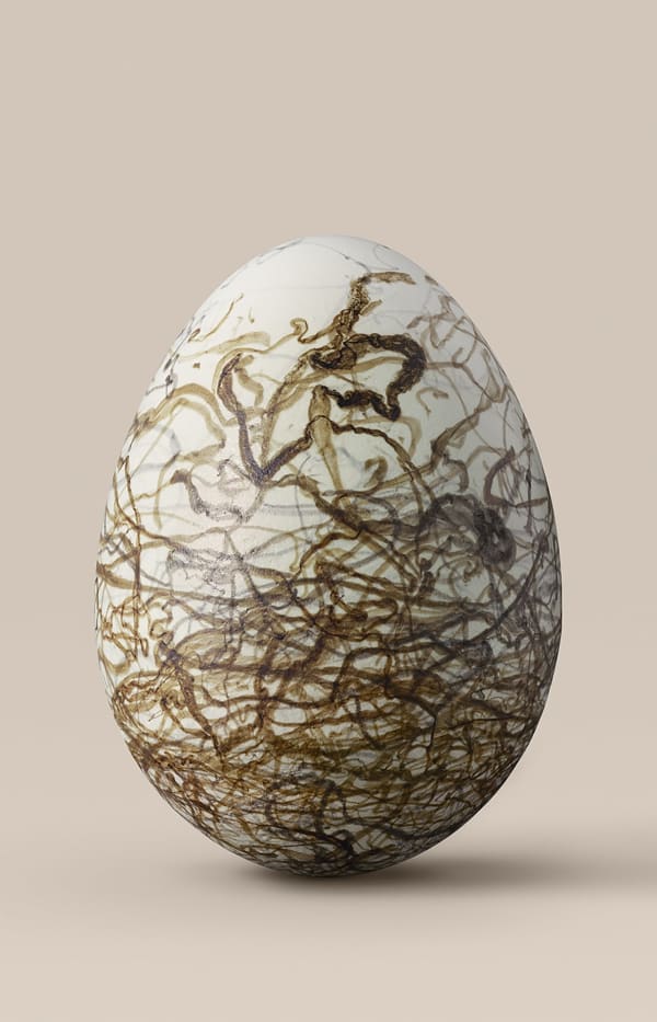 Leila Jeffreys, From the series, The wound is the place where the light enters, Spotted bowerbird egg, 2022