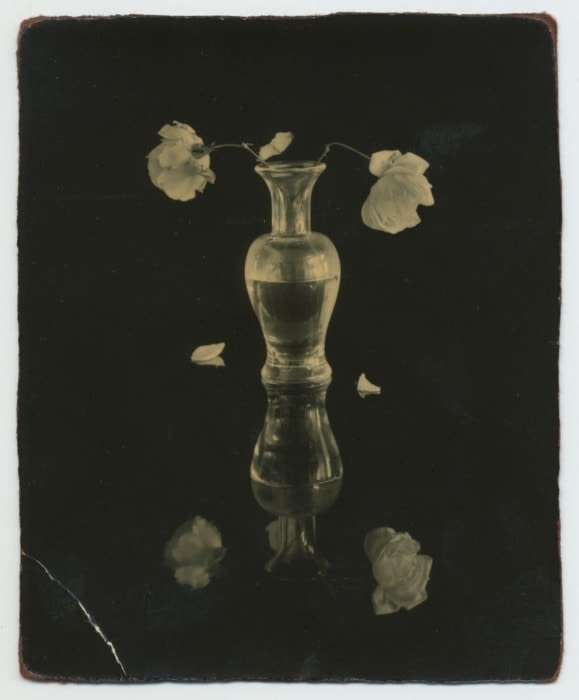 Masao Yamamoto, A Box of Ku #480 , 2017