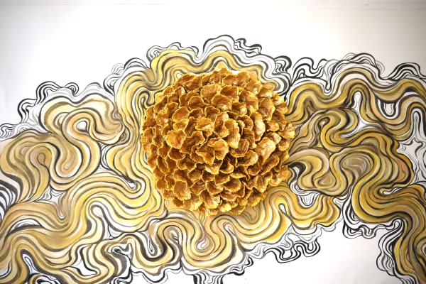 Golden Flower, 2022