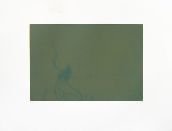 Svend-Allan Sørensen, Birds of the Faroe Islands - Crow, 2015