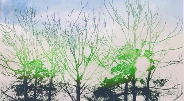 HM Queen Sonja, Sun Gaze, 2018