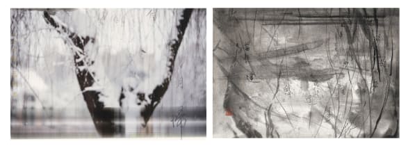 Chu Chu, Winter-Twelfth Pentad·Burgeoning (冬-十二候·荔挺出), 2018