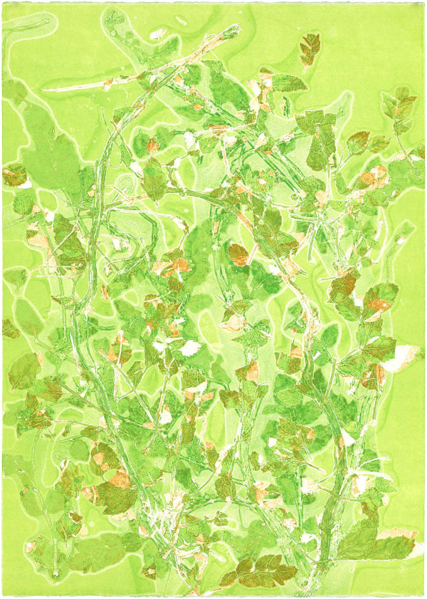 Zhenchen Liu, PANACEA (灵丹妙药) 230, 2021