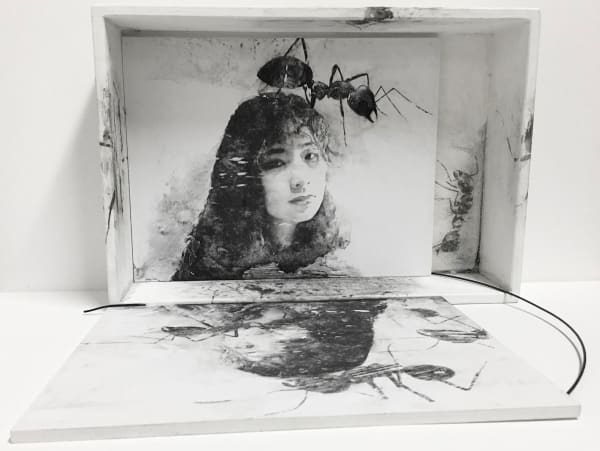 Stella Zhang, Innocent Victim, 2020