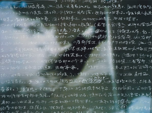 Zhang Xiaogang, Description: 2005-20 《描述：2005-20》, 2005