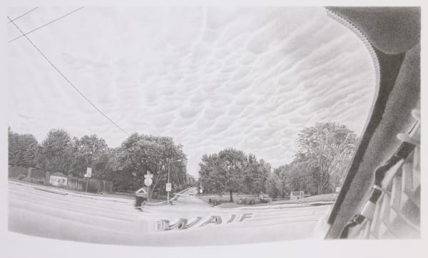 Neil Griess, Waif, 2018