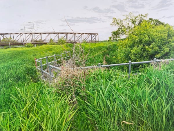 Neil Griess, Sunset Valley, May 2019, 2021