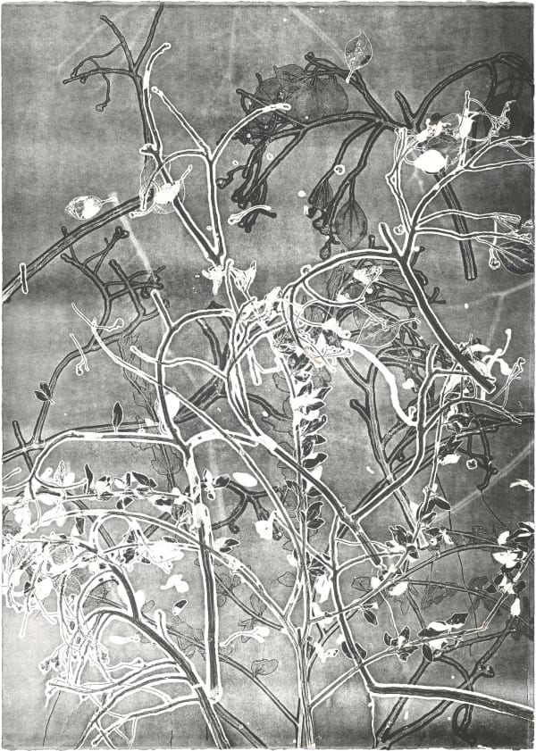 Zhenchen Liu, PANACEA (灵丹妙药) 242, 2021