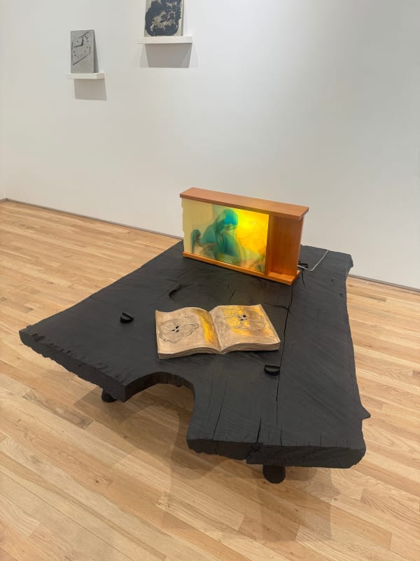 Duncan Oja, Roughsawn coffee table, 2025