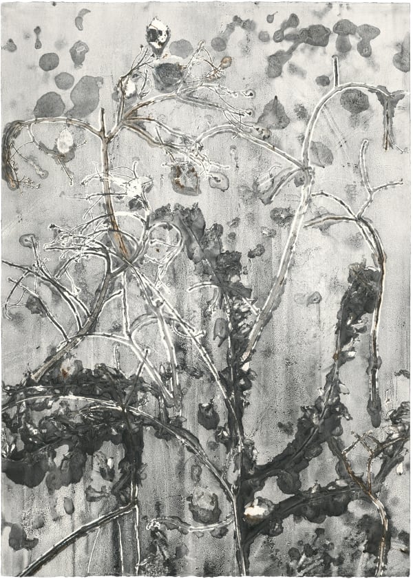 Zhenchen Liu, PANACEA 229, 2021