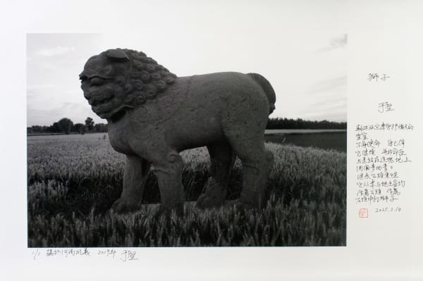 Yu Jian, 狮子 Lion, 2025
