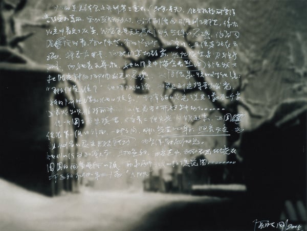 Zhang Xiaogang, Description: 2005-43 《描述：2005-43》, 2005