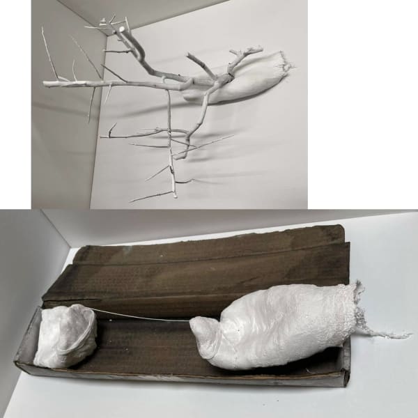 Stella Zhang, Noah's Ark, 2020