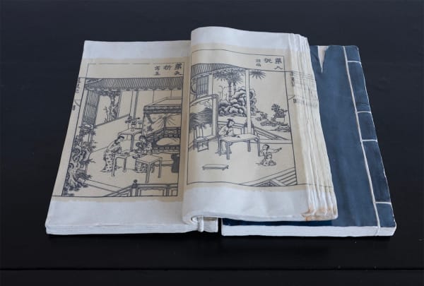 Xiaoze Xie, The Peony Pavilion (Scenes 8-9) 还魂记折子戏（第八-第九折), 2023