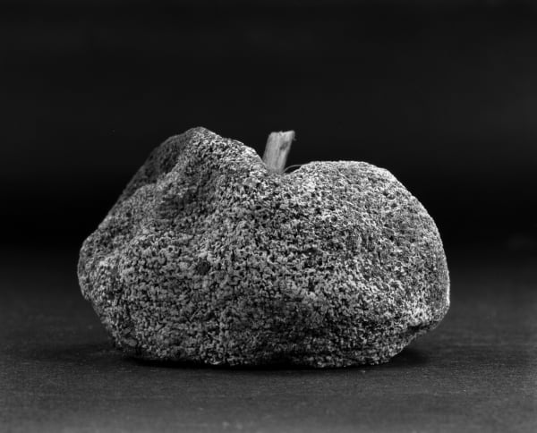 Chu Chu, Material Immaterial-Fruits 02 (物非物-果實02), 2010-2016
