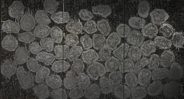 YANG Jiechang, Ten Thousand Things- large, (Hundred Layers of Ink Series), 1997