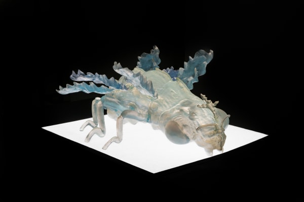 Guillermo Galindo, Ambiguous Radiance / Resplandor Ambiguo, 2023