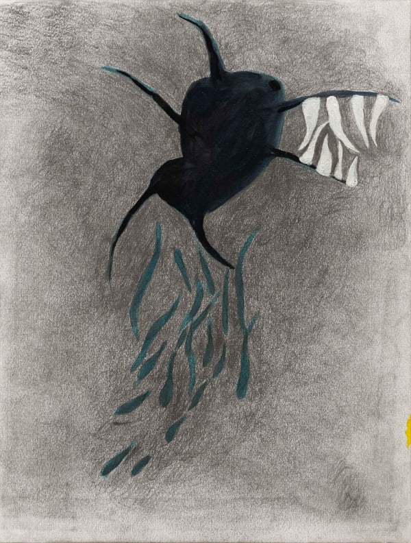 Guillermo Galindo, Leaf Spider, 02-22-21