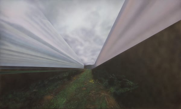 Neil Griess, Blurred Landscape, 2019