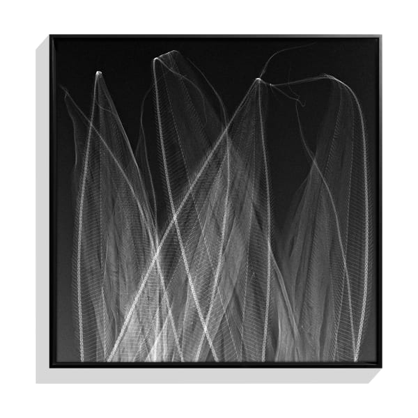 Jason Quibilan, Cut Glass No. 2 (Triptych), 2021