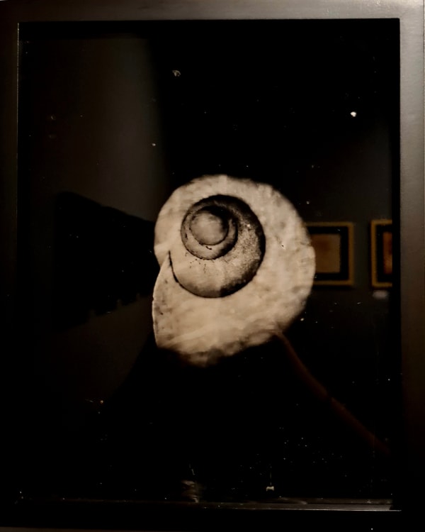 Raena Abella, Untitled, 2024