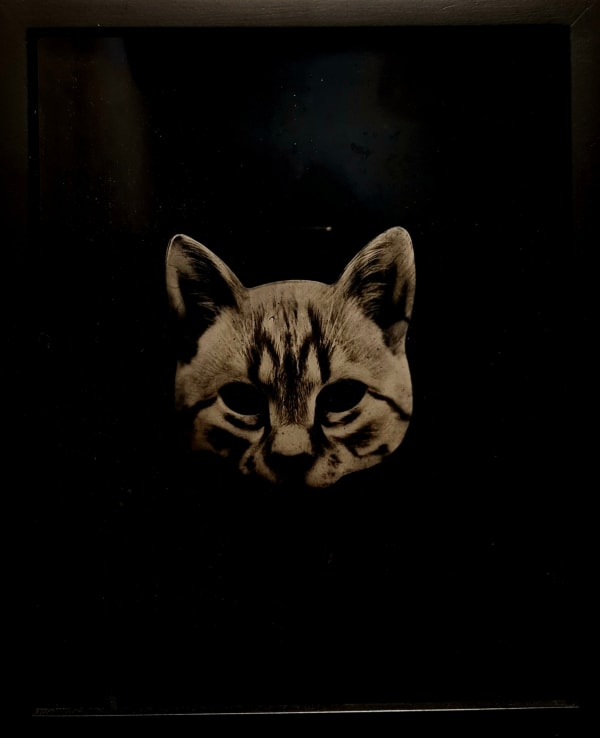 Raena Abella, Untitled, 2024