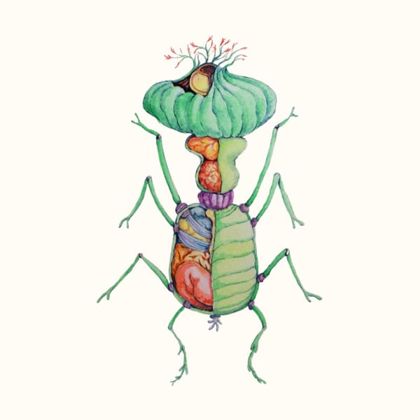 Linya Fernandez, Aliopthirus Viridis, 2022